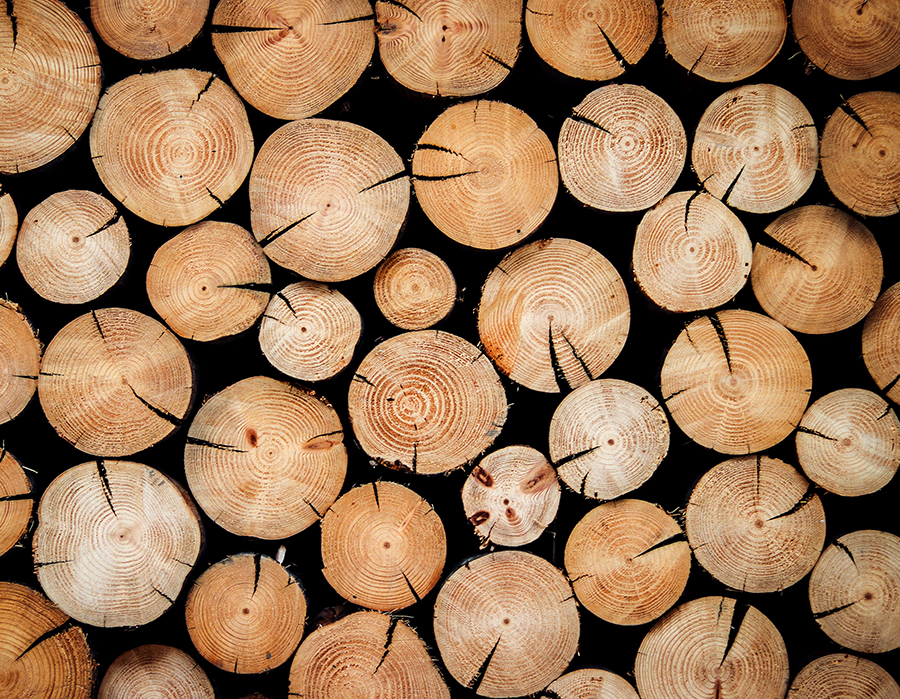 サンエイwood木材の選定画像